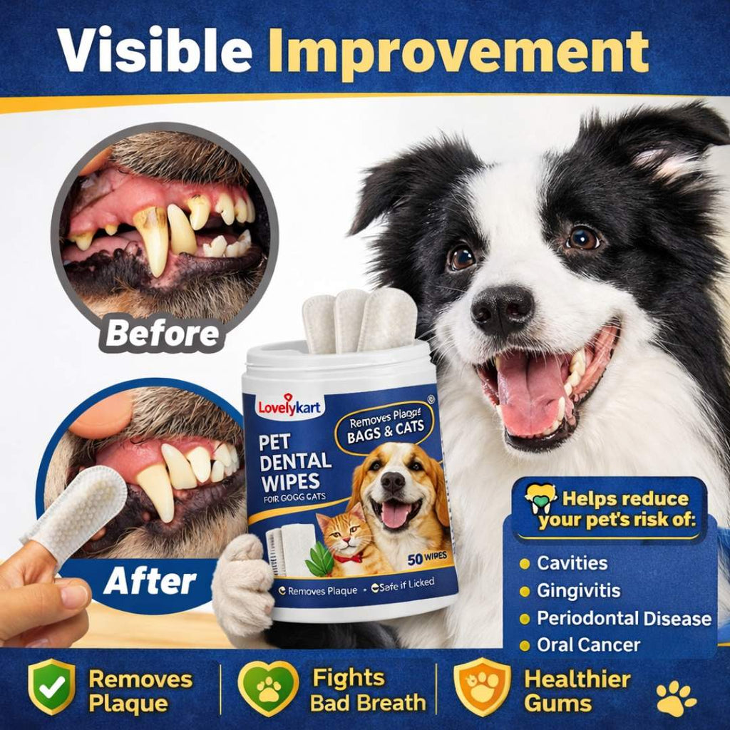 Pet Dental Care Wipe | For Cats & Dogs