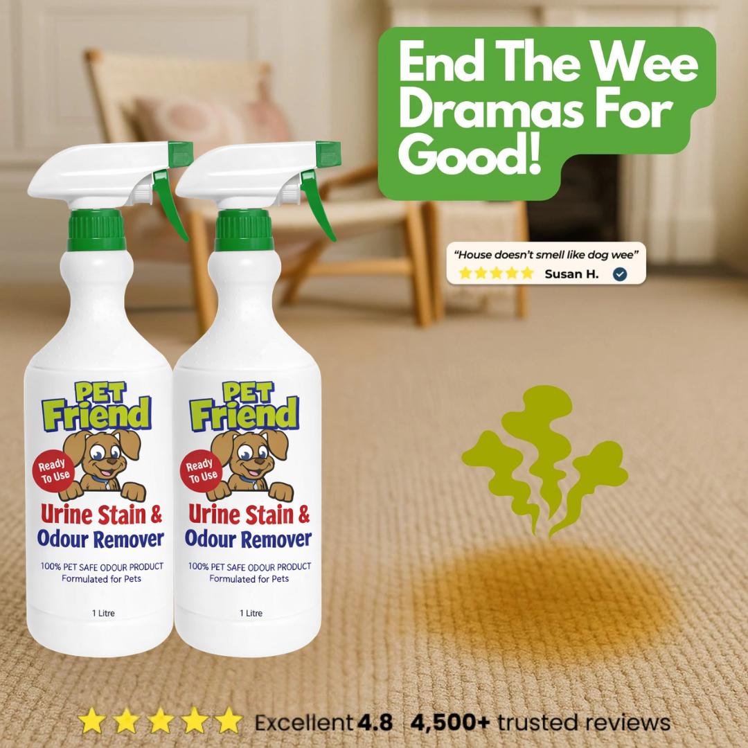 Pet Urine Stain & Odour Remover | Ready To Use Formula | BUY 1 GET 1 FREE!