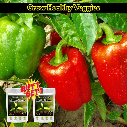 4x Plant Growth Biofertilizer (BUY 1 GET 1 FREE)