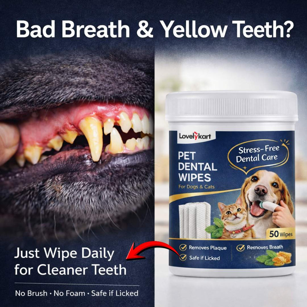 Pet Dental Care Wipe | For Cats & Dogs