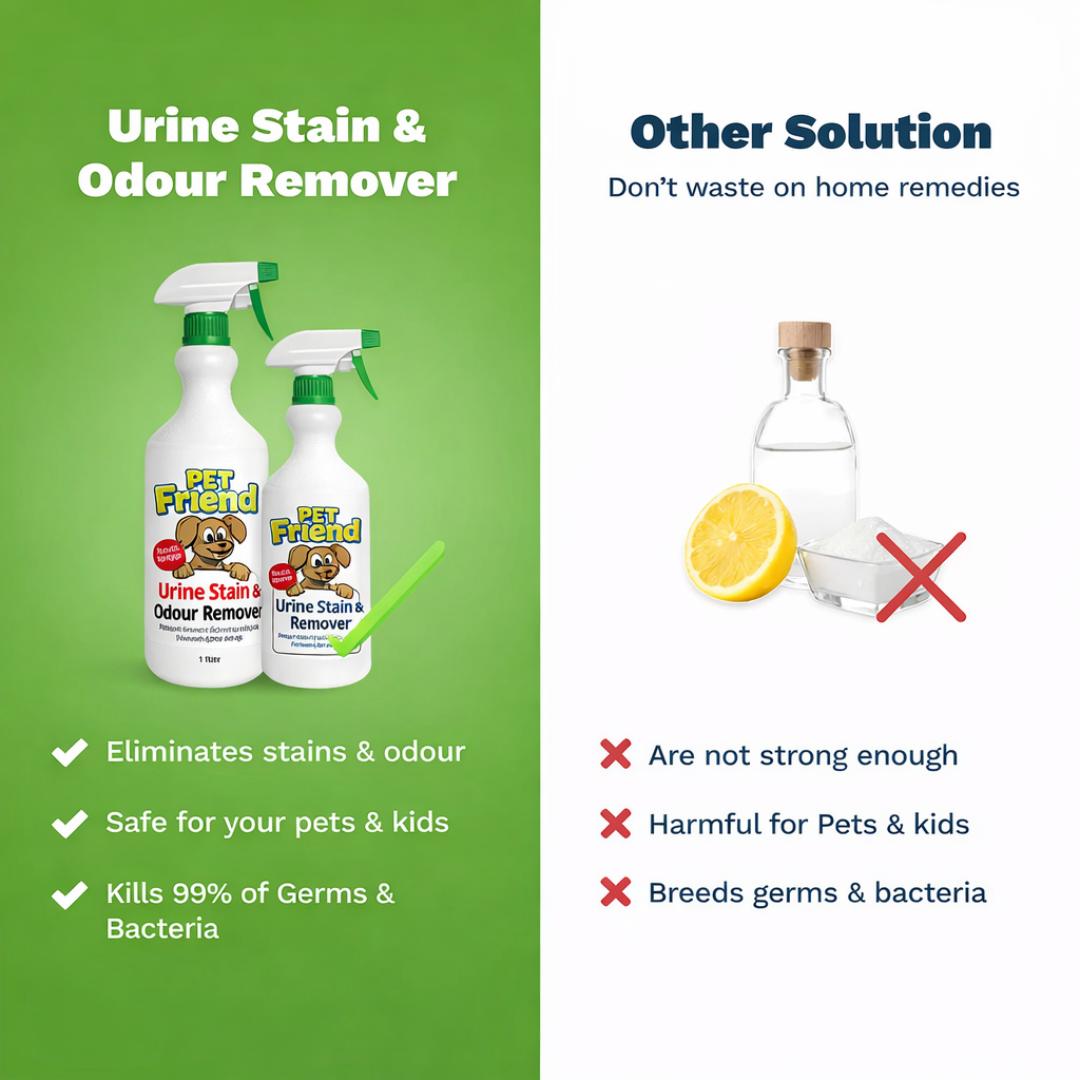 Pet Urine Stain & Odour Remover | Ready To Use Formula | BUY 1 GET 1 FREE!