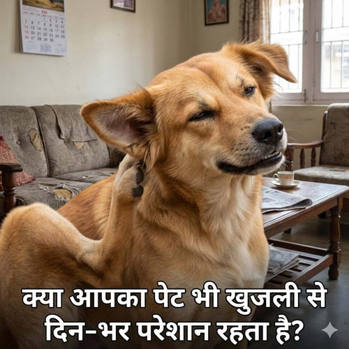 Flea & Tick Spray for Dogs & Cats | Buy 1 Get 2 Free