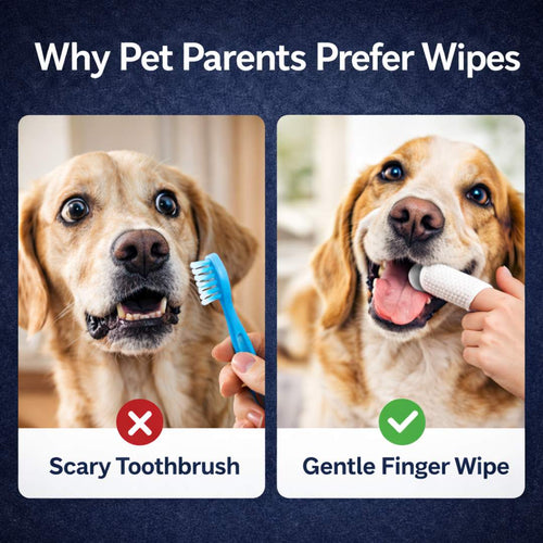 Pet Dental Care Wipe | For Cats & Dogs