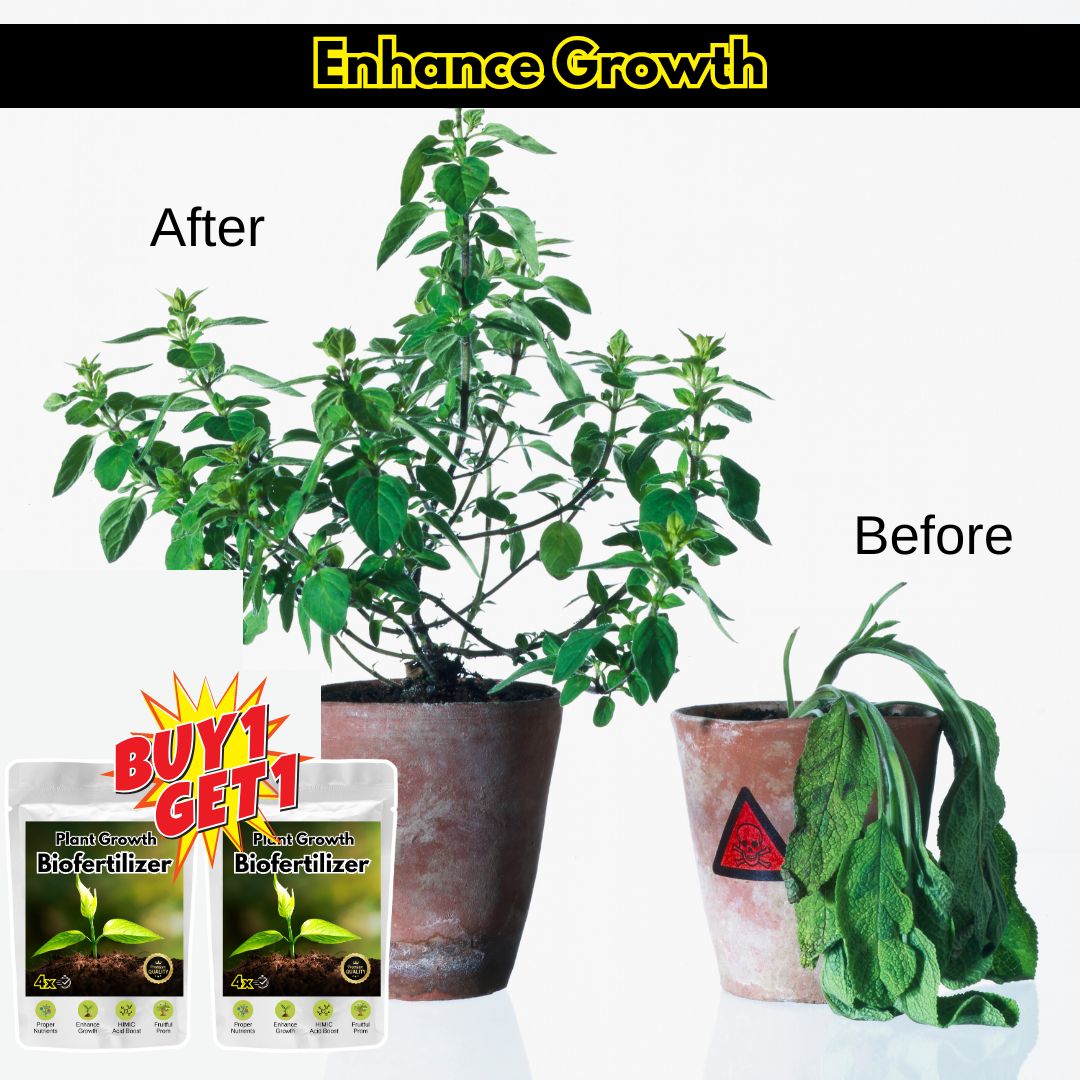 4x Plant Growth Biofertilizer (BUY 1 GET 1 FREE)