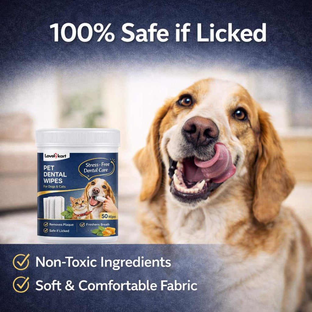 Pet Dental Care Wipe | For Cats & Dogs