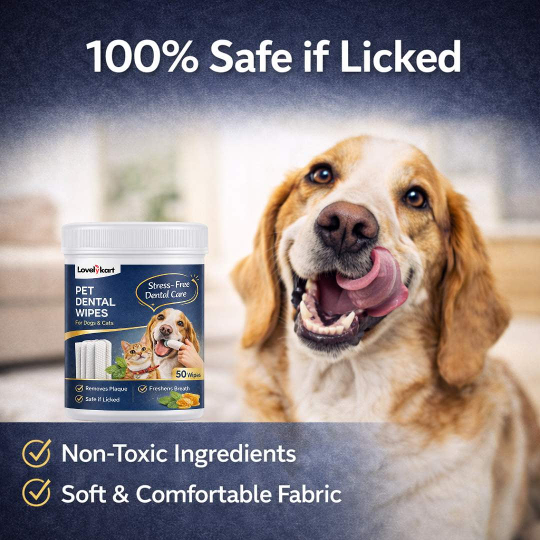 Pet Dental Care Wipe | For Cats & Dogs