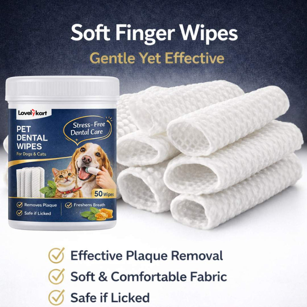 Pet Dental Care Wipe | For Cats & Dogs