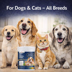 Pet Dental Care Wipe | For Cats & Dogs