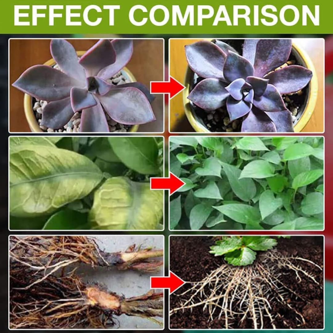 4x Plant Growth Biofertilizer (BUY 1 GET 1 FREE)