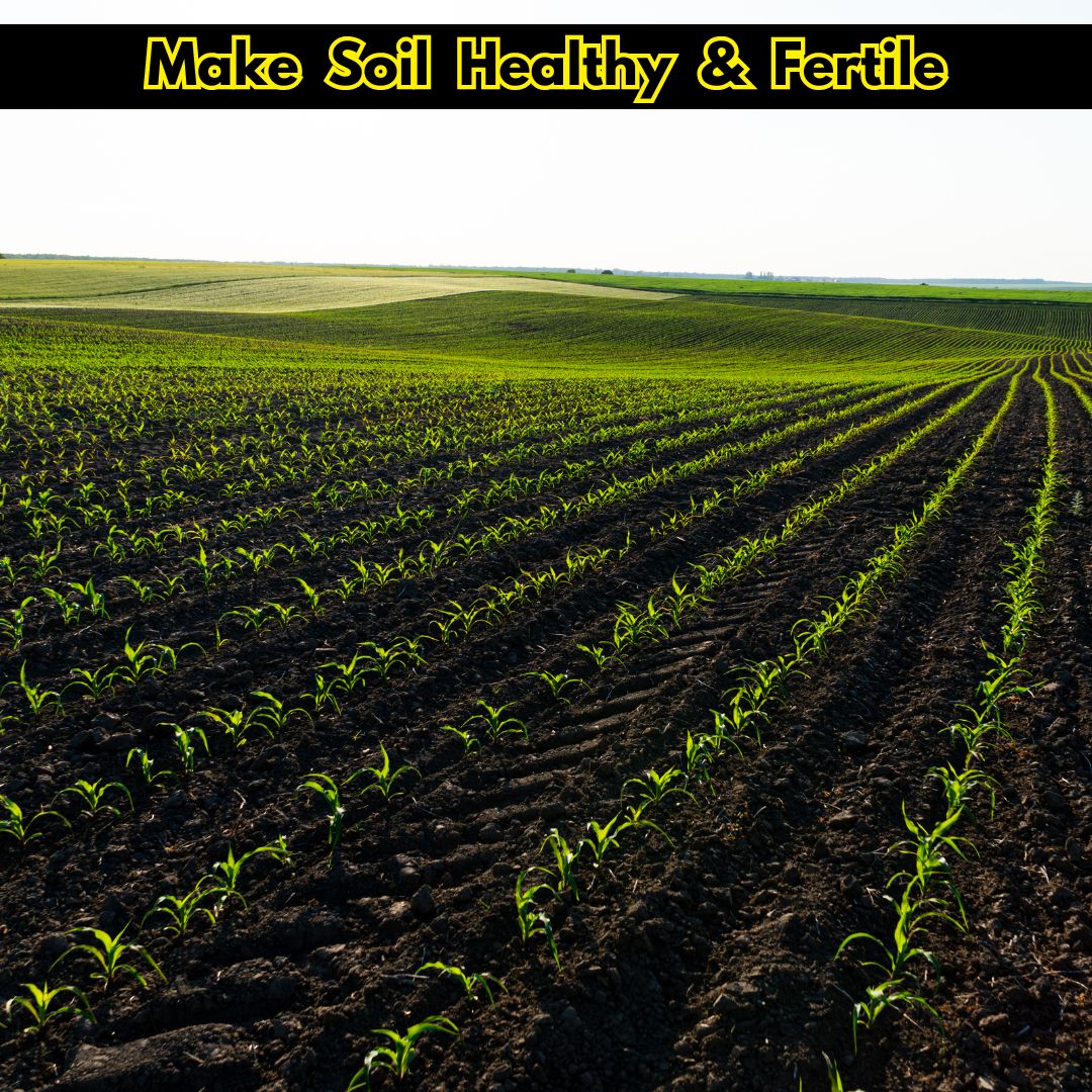 4x Plant Growth Biofertilizer (BUY 1 GET 1 FREE)